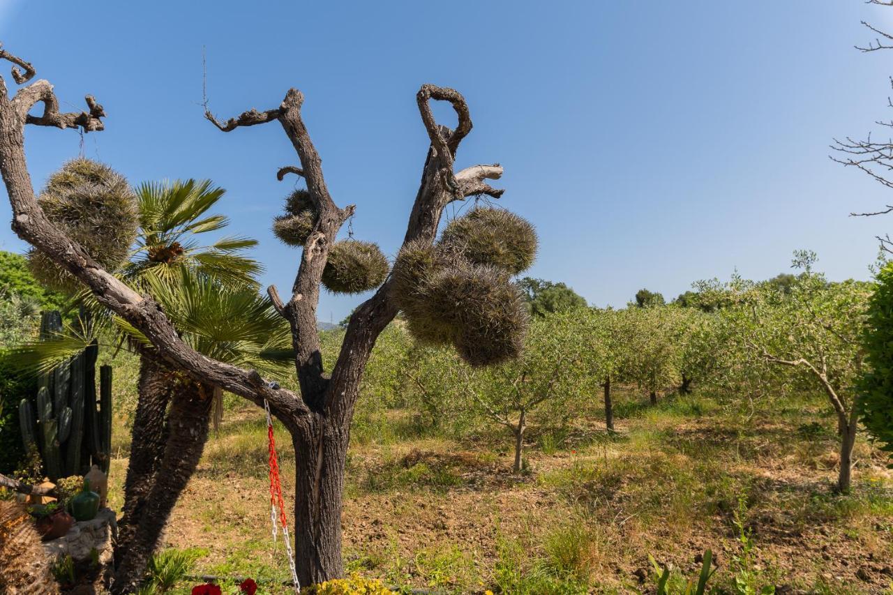 Finca Sa Sini บูเกร์ ภายนอก รูปภาพ